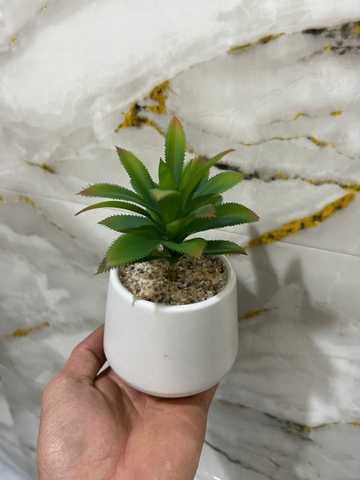 Chậu sen đá lá gai giả 16cm