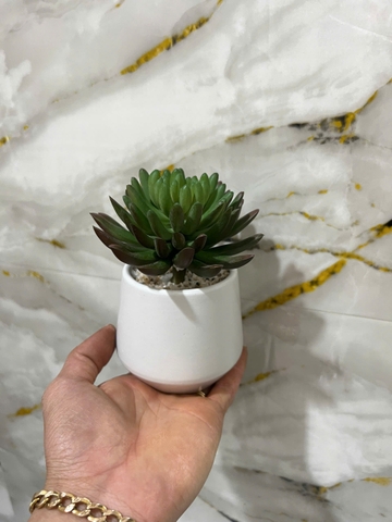 Chậu sen đá nhiều cánh tròn giả 15cm