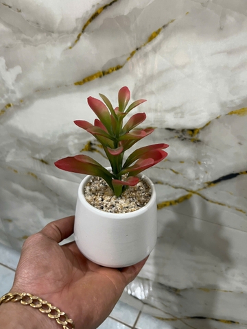 Chậu sen đá mầm giả cao 15cm