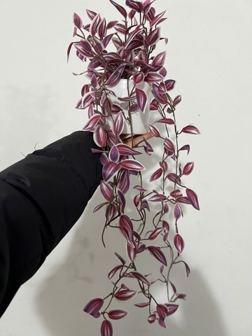 Chậu rủ thài lài tím giả 70cm