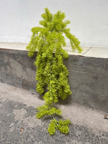 Chậu dong rủ giả 70cm
