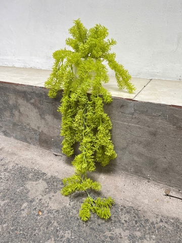 Chậu dong rủ giả 70cm