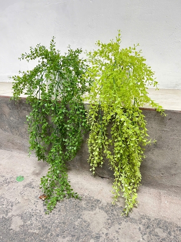 Chậu lá tim rủ giả 70cm