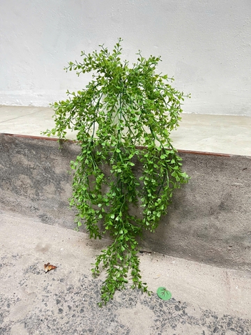 Chậu lá tim rủ giả 70cm