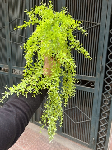 Chậu lá tim rủ giả 70cm