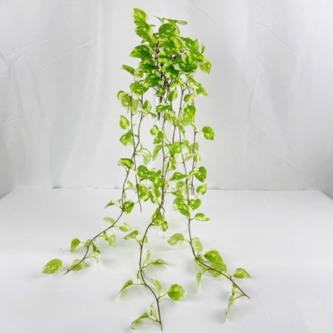 Dây trầu bà rủ giả 70cm