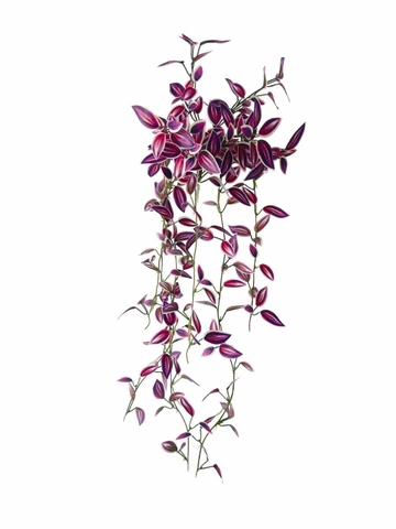 Dây thài lài rủ tím giả 70cm