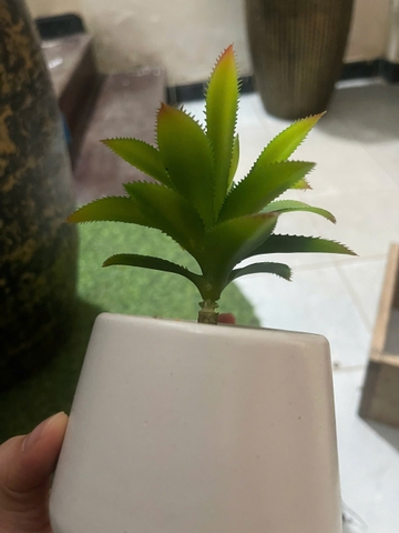 Chậu sen đá lá gai giả 16cm