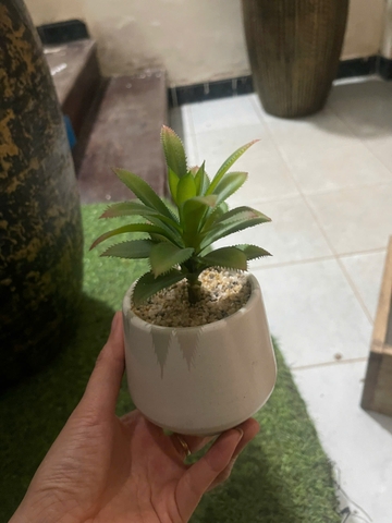 Chậu sen đá lá gai giả 16cm