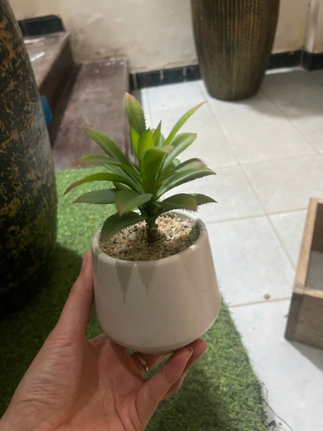 Chậu sen đá lá gai giả 16cm