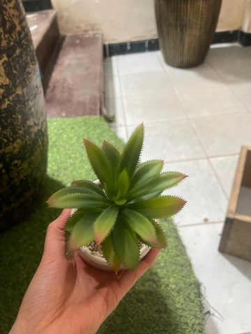 Chậu sen đá lá gai giả 16cm