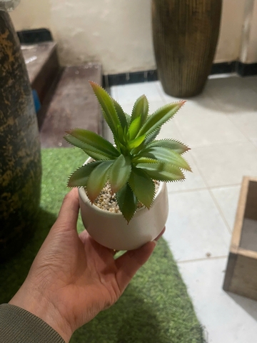 Chậu sen đá lá gai giả 16cm