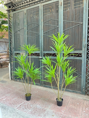 Cây gỗ nghìn năm giả trang trí 1m3 và 1m5