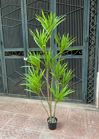 Cây gỗ nghìn năm giả trang trí 1m3 và 1m5