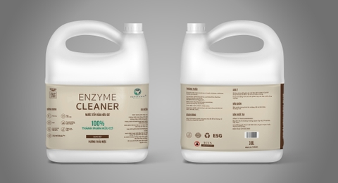 Dung dịch Enzyme làm sạch