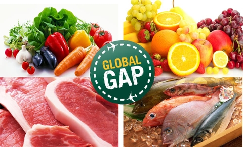 GlobalGAP là gì? Vì sao bạn nên chọn thực phẩm đạt chuẩn GlobalGAP?