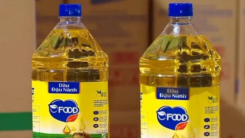 Dầu Ăn Giả Là Gì? 5 Cách Nhận Biết Đơn Giản Ai Cũng Nên Biết