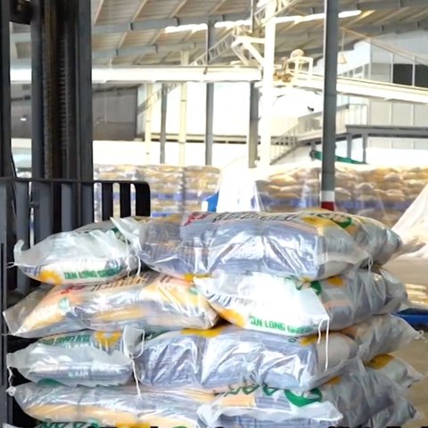 Nguồn Gạo ST25, ST21, Lúa Tôm Giá Sỉ Hà Nội | Delimart Phân Phối Gạo AAN Chính Hãng