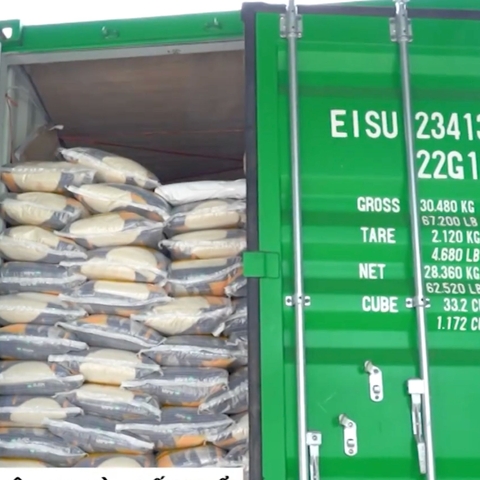 TỔNG KHO PHÂN PHỐI GẠO VÀ HẠT GIÁ SỈ TỐT NHẤT HÀ NỘI