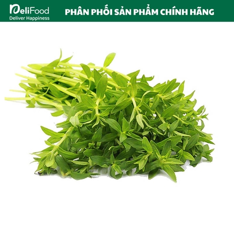 Rau ngổ Sạch Lâm Thao- Túi 50g