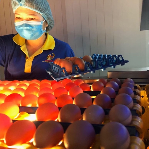 Trứng gà tươi Ba Huân size L - hộp 10 quả - Diệt khuẩn 99,9%