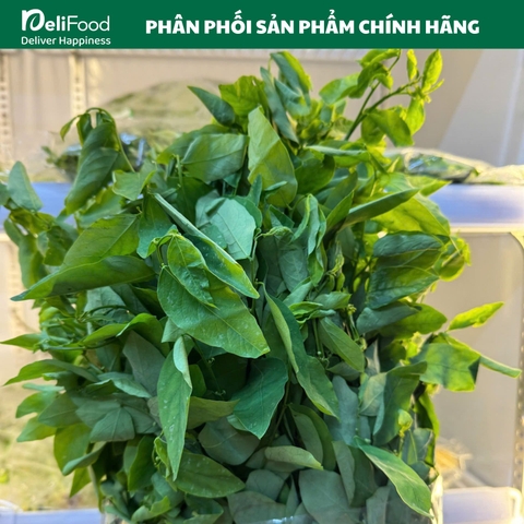 Rau ngót Sạch Lâm Thao - Túi 300g
