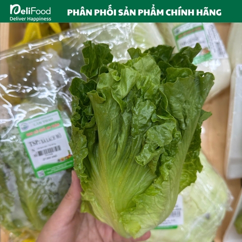 Xà Lách Lô Lô Xanh An Toàn Lâm Thao - Túi 500G