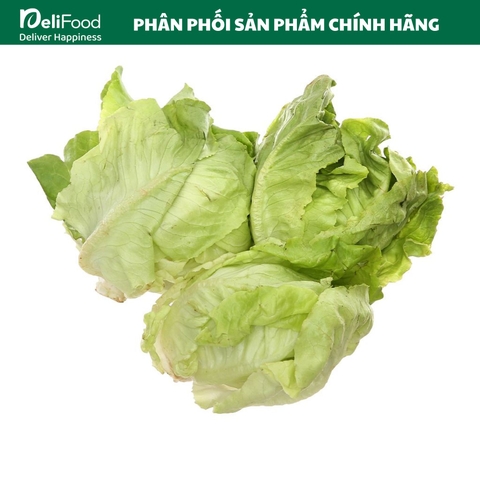 Xà lách mỡ sạch Lâm Thao - Túi 500G