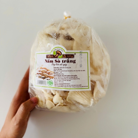 Nấm Sò trắng sạch Lý Tưởng 500G