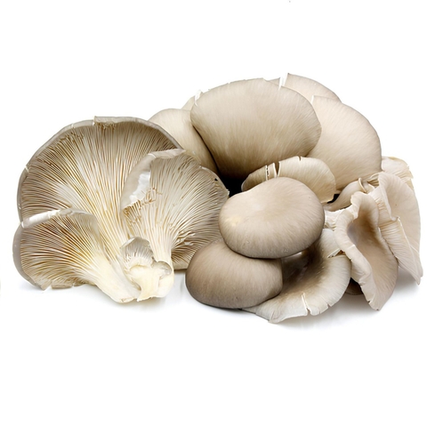 Nấm Sò Nâu sạch - Túi 500G