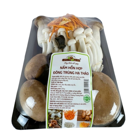 Nấm Hỗn Hợp Đông Trùng Hạ Thảo
