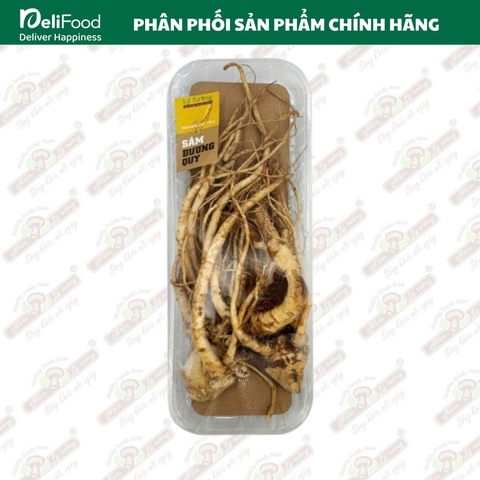 Sâm Đương Quy 150g