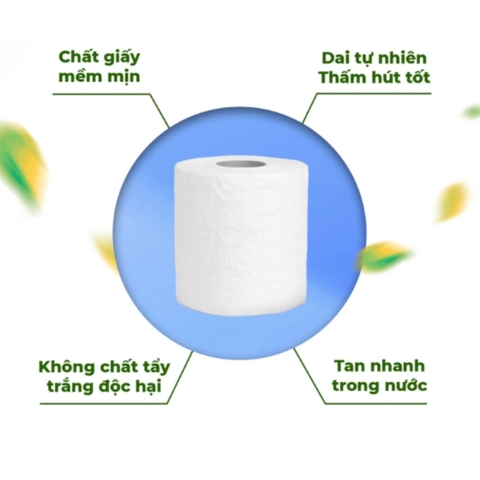 Giấy Vệ Sinh WaterSilk Túi 12 cuộn Có Lõi