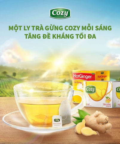 Trà cozy gừng hotginger - hộp 100g