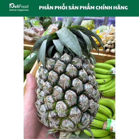 Dứa xanh Lâm Thao - Quả