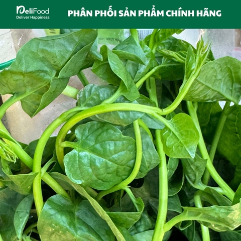 Mồng tơi sạch Lâm Thao - Túi 500G