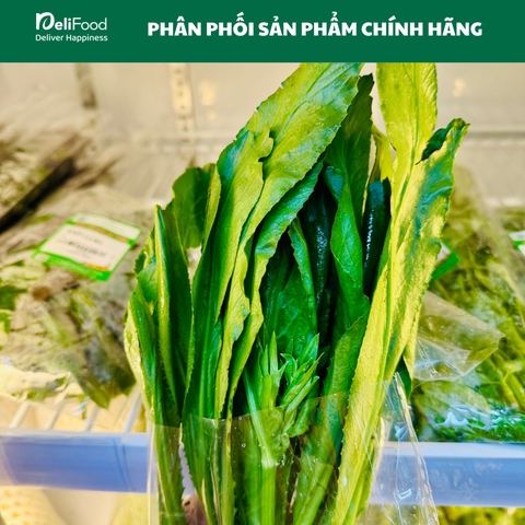 Mùi tàu (ngò gai) sạch Lâm Thao - Túi 50G