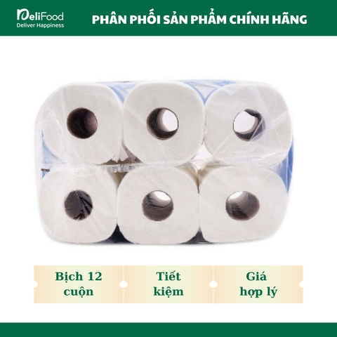 Giấy Vệ Sinh WaterSilk Túi 12 cuộn Có Lõi