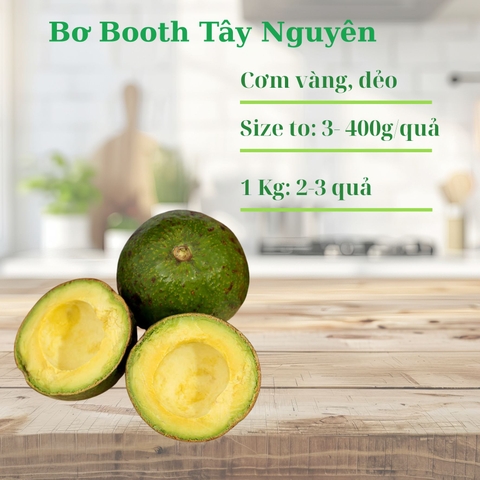 Bơ Booth tây nguyên- Kg