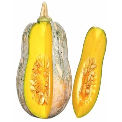 Bí Đỏ Cô Tiên/Bí đỏ dài/Bí đỏ hồ lô - Rau sạch Lâm Thao - kg