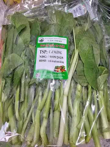 Cải ngồng sạch Lâm Thao - Túi 500g