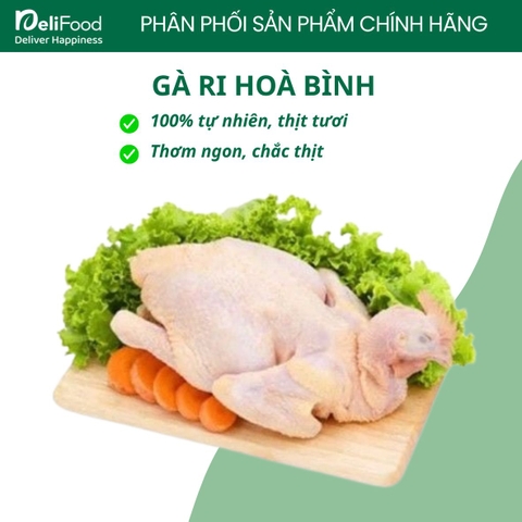 Gà ri Hòa Bình - Kg