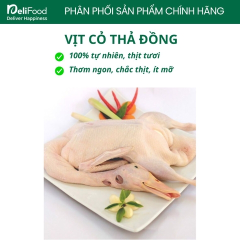 Vịt cỏ thả đồng làm sạch - Kg