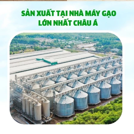 Gạo Nhật Japonica Premium AAn - Túi 5kg