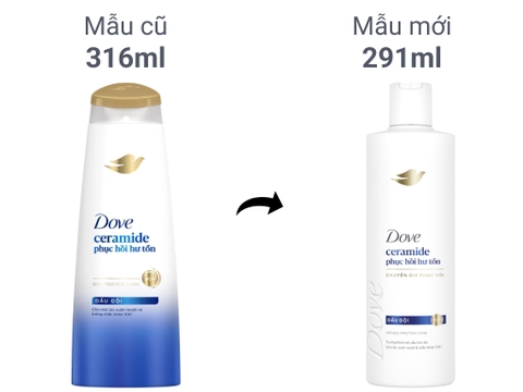 Dove dầu gội phục hồi hư tổn Ceramide - Chai 300g