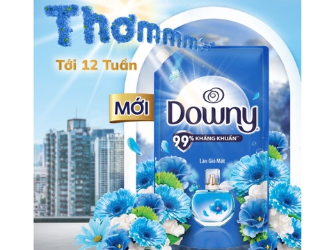 Nước Xả Vải Downy Làn Gió Mát - Túi 2.6L