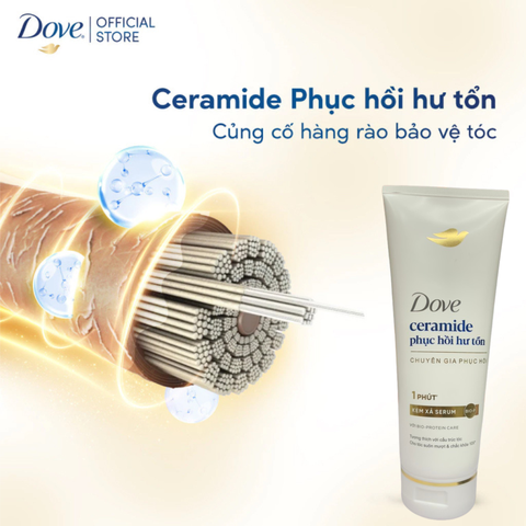 Dove Kem xả ceramide chuyên gia phục hồi hư tổn 1 phút - chai 170g