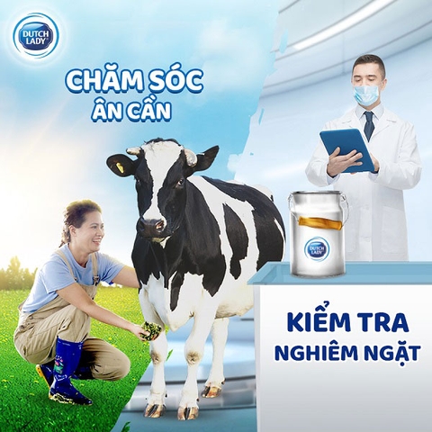 Sữa bột nguyên kem Dutchlady - Hộp sắt 850g