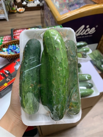 Dưa chuột sạch Vegetexco - Khay 500g
