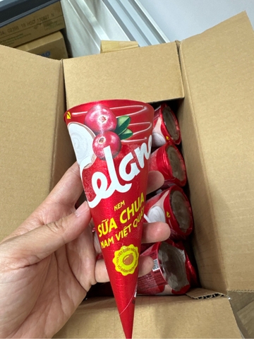 CEL CONE SỮA CHUA NAM VIỆT QUẤT